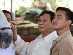 Akhirnya, Lewat Pemilihan Politik Kucing-kucingan, Prabowo Memilih Gibran Sebagai Calon Wakil Presidennya.