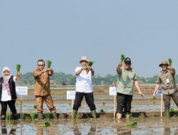 Kementan Meningkatkan Percepatan Penanaman Padi pada Musim Tanam Oktober 2023-Maret 2024 di Karawang