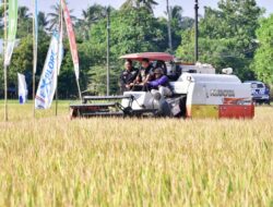 Perum Bulog Mengaitkan El Nino dengan Tantangan Harga Pupuk bagi Ketahanan Pangan Nasional