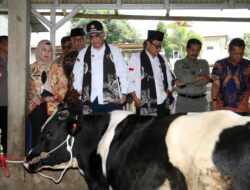 Menteri Pertanian Mendukung Penyuluh Pasuruan untuk Meningkatkan Jumlah Sapi Perah melalui Koperasi Usaha Bersama Dukuh (KUD)