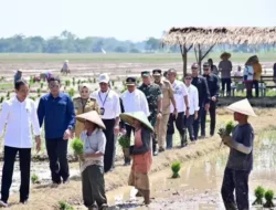 Jokowi Mendorong Petani untuk Segera Menanam Padi dan Memastikan Kemudahan dalam Memperoleh Pupuk Bersubsidi