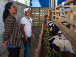 Program Upland Kementan Dianggap Mampu Menyelesaikan Isu Permodalan Petani