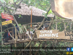 Kolaborasi antara Nol Karbon & KPH Wilayah III Aceh untuk Restorasi Hutan Mangrove