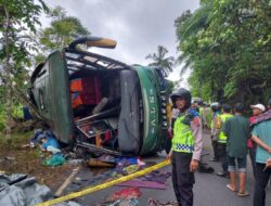 Bus ALS Terbalik di Jalan Bukittinggi-Medan, Begini Keadaannya