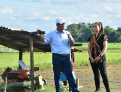 Menteri Pertanian Amran: Tidak Ada Tanggal Merah Bagi Saya, Saya Tetap Bekerja di Sawah Meski Hari Libur