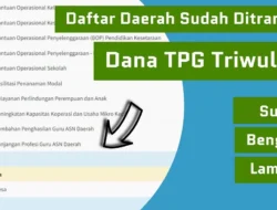 Tunjangan Profesi Guru Sudah Ditransfer ke Kas Daerah dan Cair Mulai 13 Mei, Ini Pemda yang Sudah Terima Dana Transfer