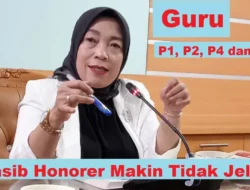 Honorer yang Merasa Resah karena Tidak Bisa Ikut Seleksi PPPK 2024, Inilah Penyebabnya