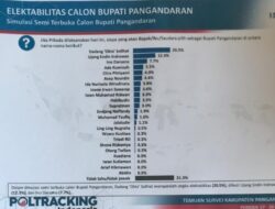 Dadang Solihat Mendominasi Hasil Poling Sementara Pilkada 2024