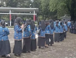 Meskipun Keduanya ASN, Ternyata Terdapat Perbedaan Antara Seragam PPPK dan PNS