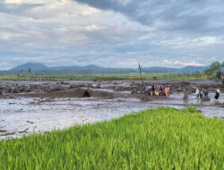 15 Orang Meninggal Dunia Akibat Banjir Bandang di Agam, Innalillahi