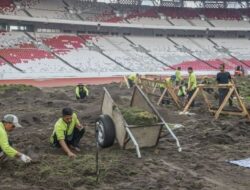 Metode Penanaman Rumput di Stadion GBK Dipertanyakan, Justinus Lhaksana Menjelaskan bahwa Ini Bukan Sawah