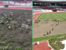 Penanaman Rumput di GBK Dibahas Netizen: Stadion Utama Jadi Sorotan, Namun Pelaksanaan dan Perlengkapannya Dikritik Sebagai Level Tarkam