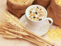 Makanan Stamina Pria: Temuan Penelitian Terbaruan