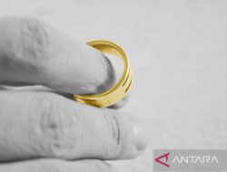 Perbedaan Cincin Tunangan dan Cincin Nikah: Wawasan Menarik
