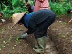Keberlanjutan Lingkungan di Arista Montana: Agroforestri yang Mendukung Pertanian Organik