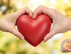 Perbedaan antara cinta dan sayang: Pengertian yang Penting