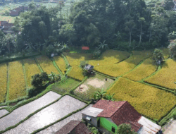 Arista Montana Jadikan Pertanian Sebagai Ajaran Hidup