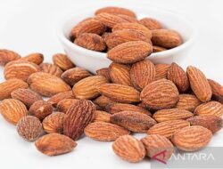 7 Manfaat Tepung Almond: Kaya Gizi & Bebas Gluten!