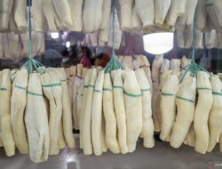 8 Manfaat Tape Singkong untuk Kesehatan dan Efek Sampingnya