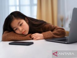 6 Cara Mengatasi Rasa Ngantuk Saat Belajar: Tips Efektif