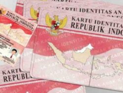 Apa Itu KTP Pink? Fungsi dan Prosesnya